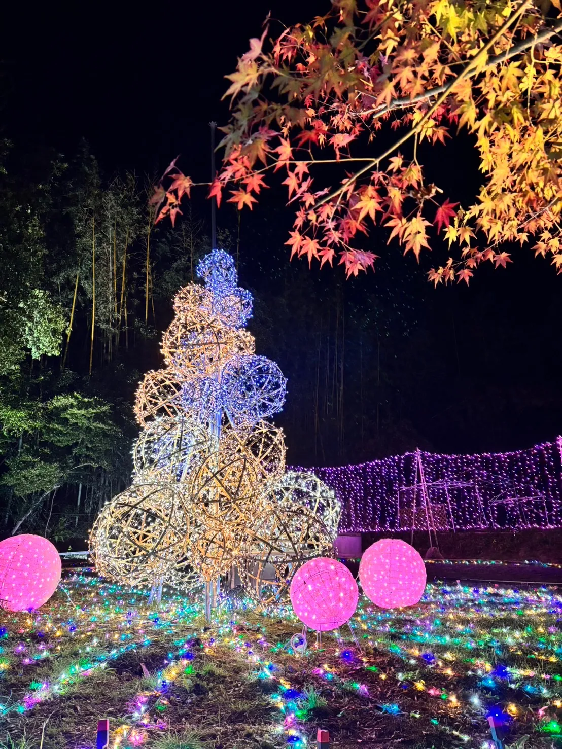 シャボン玉のBabuuun!イルミネーションのお手伝いをさせていただきました♩